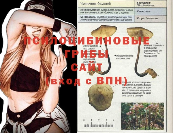 jwh Абинск