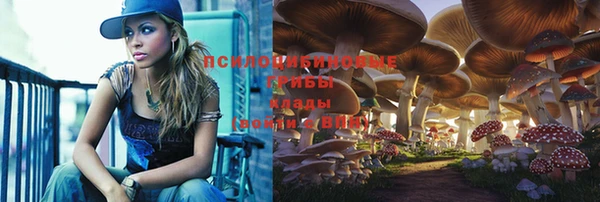 метадон Абаза